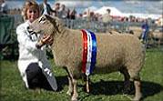 The Lunesdale Agricultural Show 2013